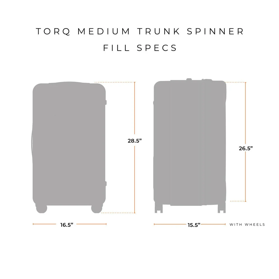 Briggs & Riley Torq 2.0 Medium Trunk Spinner - Image 14