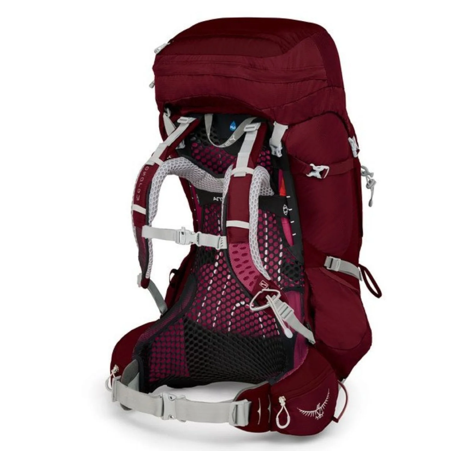 Osprey Aura AG 65 Backpack with Raincover - Medium - Women's Backpacking - Image 4