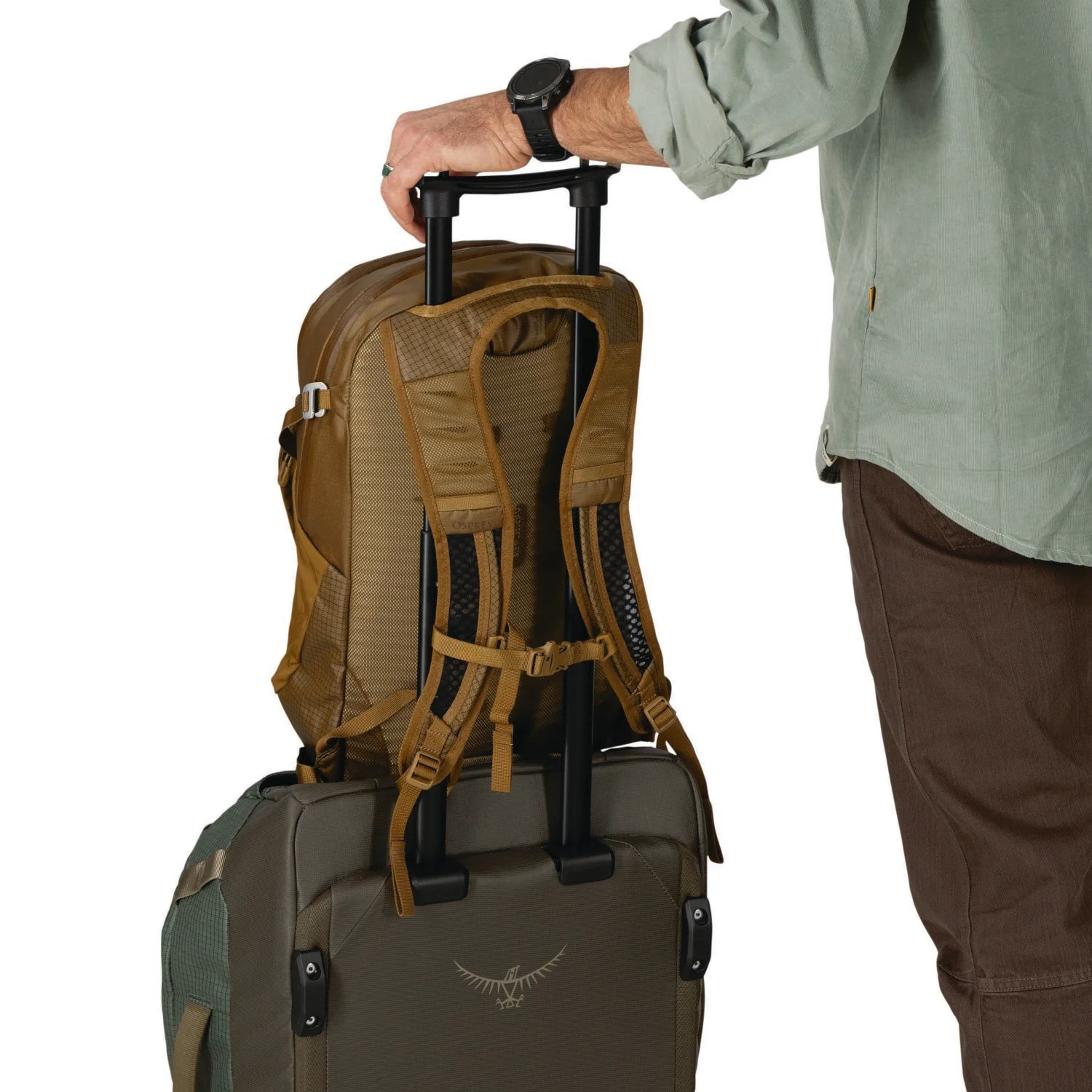 Osprey Daylite Plus Ltd Backpack O/S - Image 10