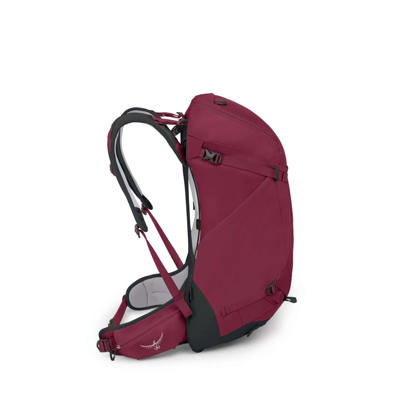 Osprey Hikelite 32 Backpack M/L - Image 26