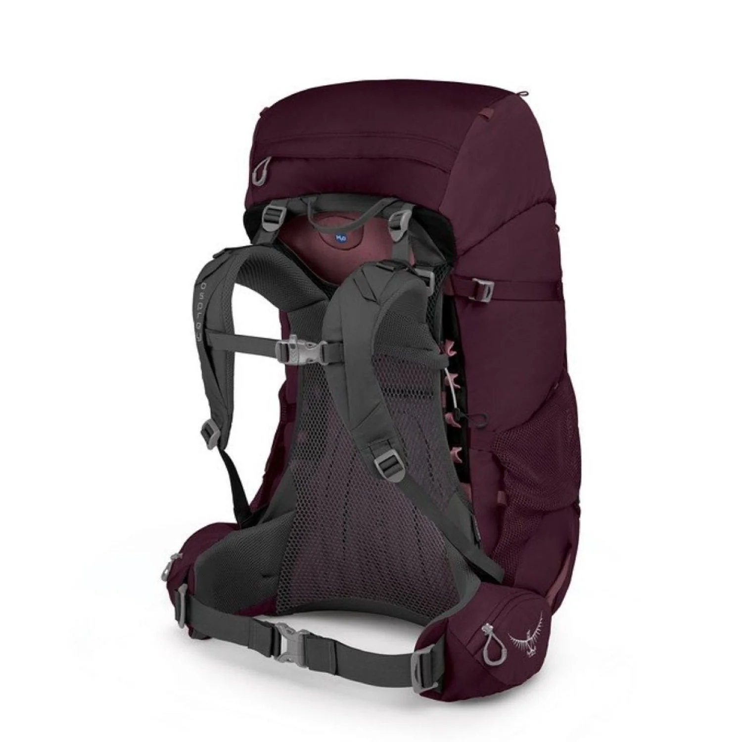 Osprey Renn 65 Backpack - Women's Backpacking (SA) - Image 2