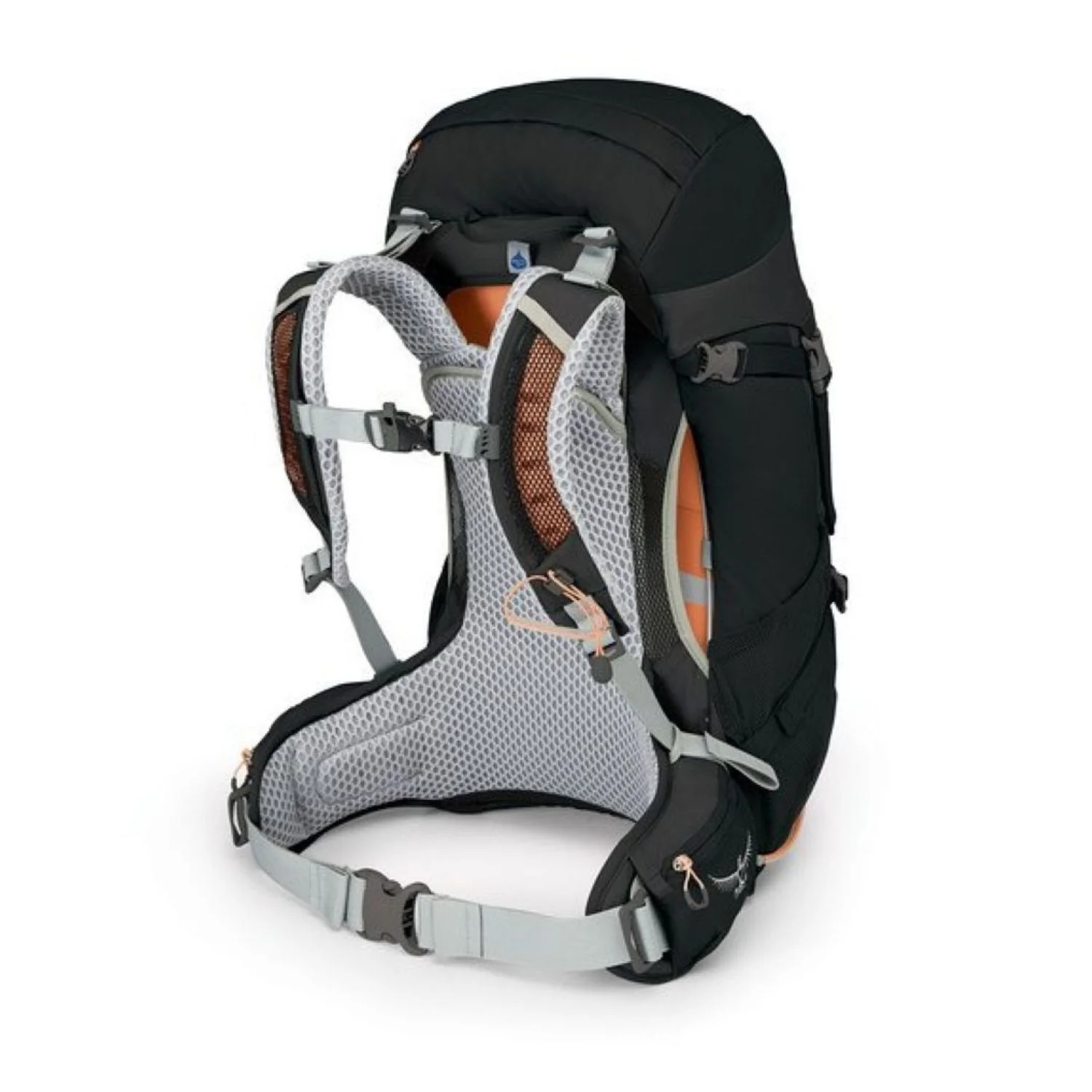Osprey Sirrus 26 Backpack - Women's Day Hiking - Image 2
