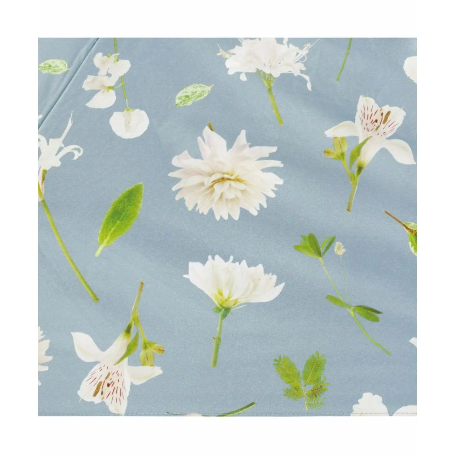 WPC X Plantica UV Protection UPF 50+ Umbrella 47cm - Image 17